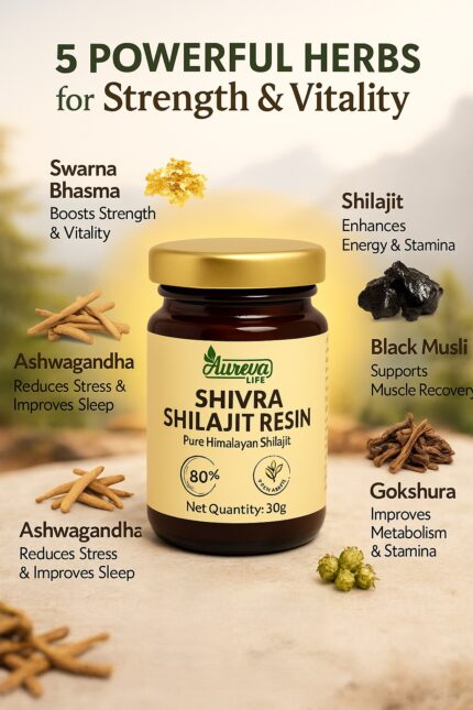 ayurvedic shilajit resin